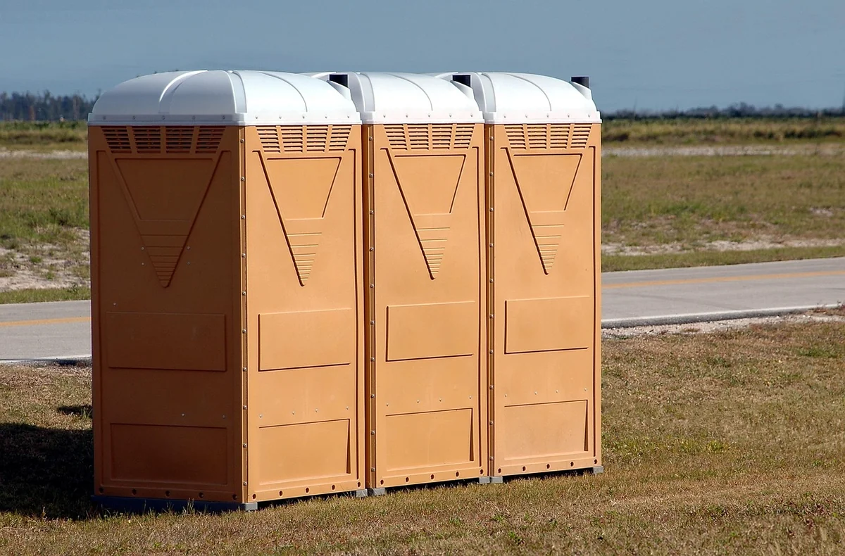 Prévention 2026 : comment garder vos toilettes sans vers toute l’année